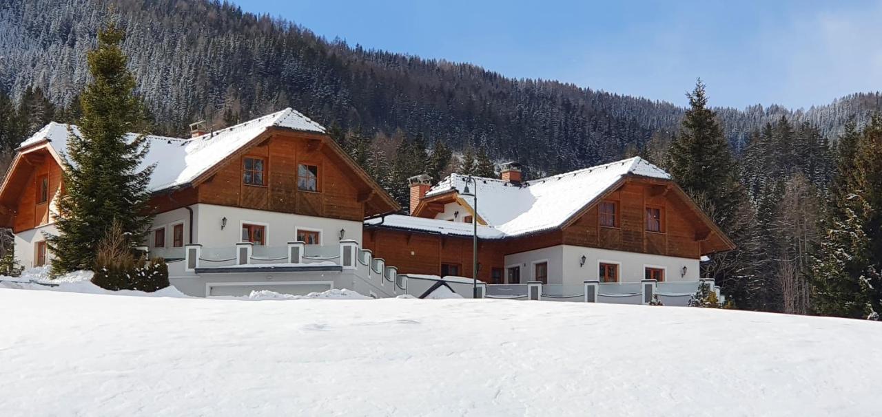 Ferienhaus Alpenblick Krakauschatten Buitenkant foto